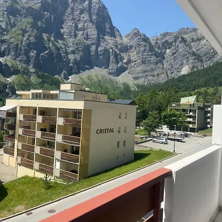 Marmotta 26